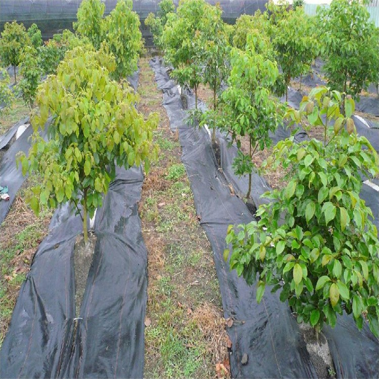 打孔防草布