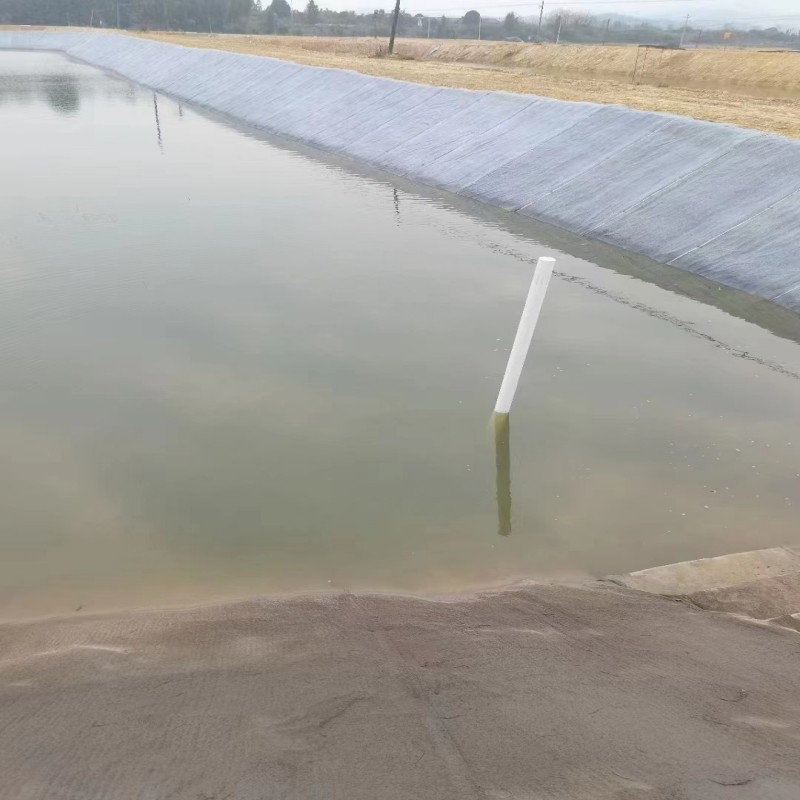 水产养殖塘护坡水泥毯